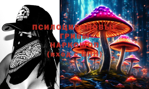 не бодяженный Бородино