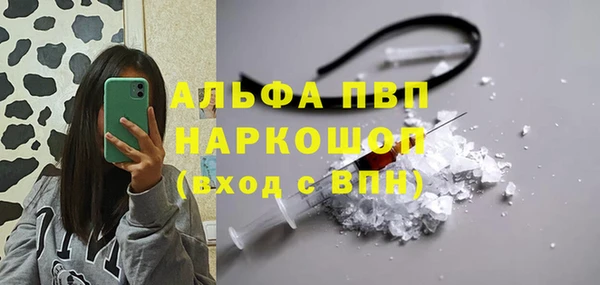 не бодяженный Бородино