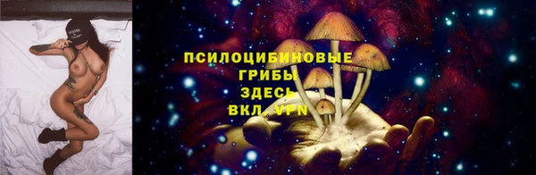 шишки Богданович