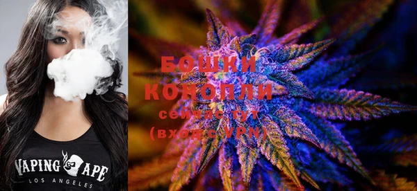 дурь Богородицк