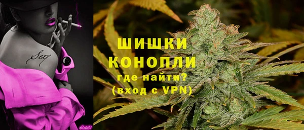 дурь Богородицк