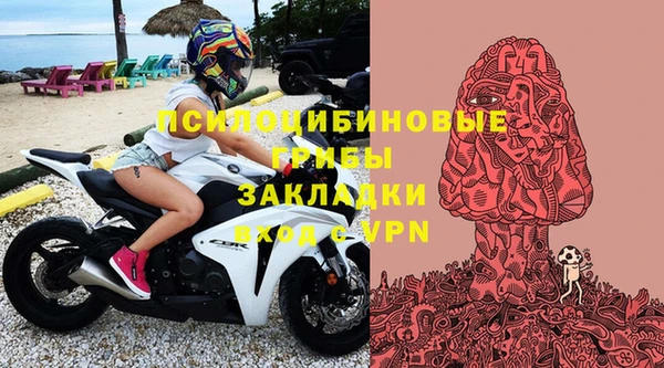 прущие крисы Богородск