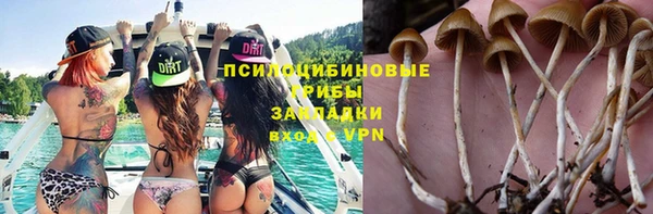 шишки Богданович